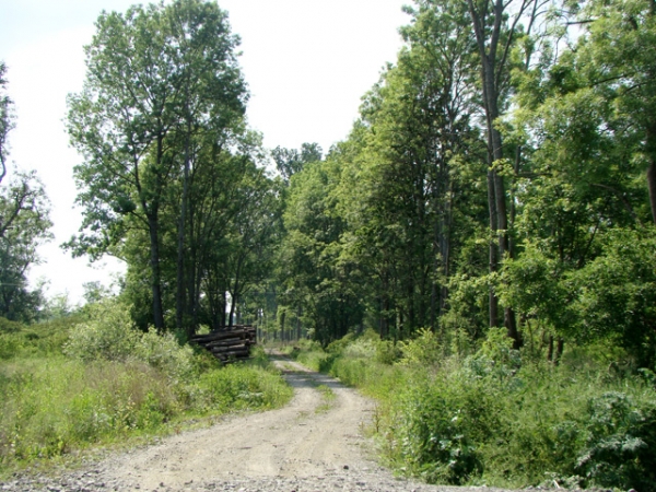 Naselje Pivare
