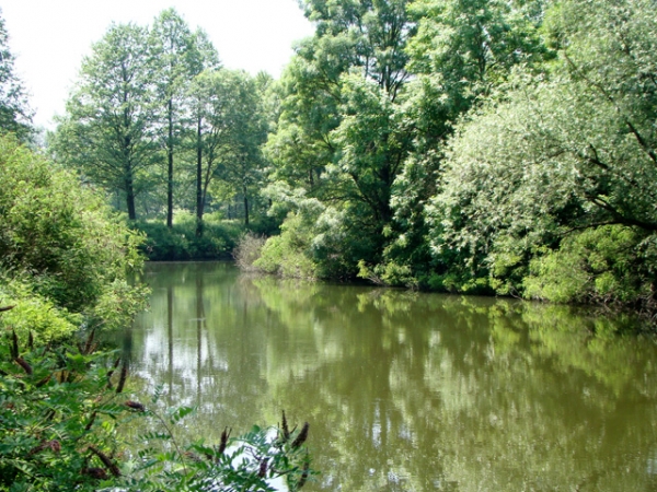 Naselje Gornji Varo&scaron;